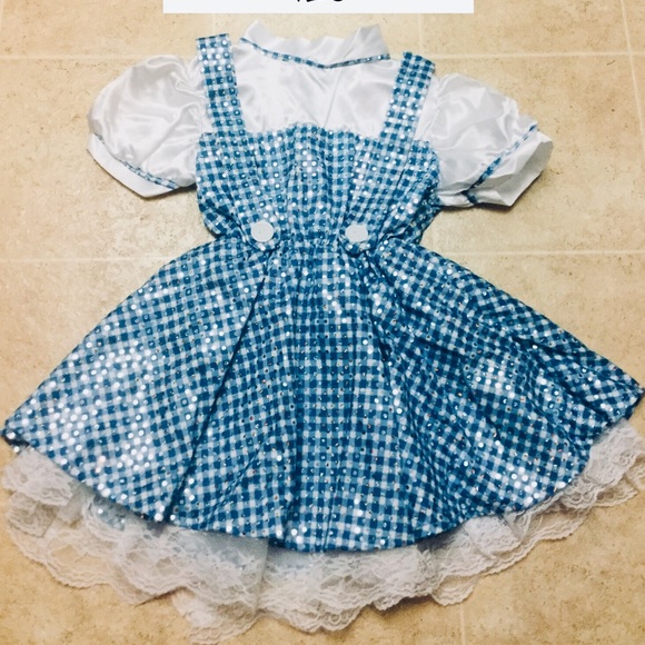 ⭐️WIZARD OF OZ “DOROTHY” CLASSIC DELUXE COSTUME⭐️ - Picture 2 of 2